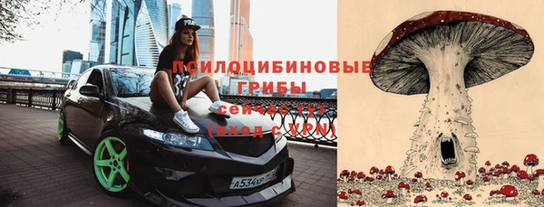 мет Новозыбков