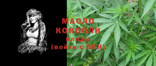 мет Новозыбков