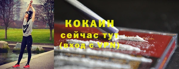 мет Новозыбков